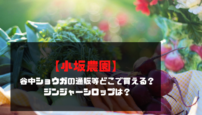 小坂農園 谷中ショウガの通販等どこで買える ジンジャーシロップは